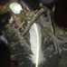 Kameron Carr - Facebook