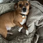 Cameron Coe - Facebook