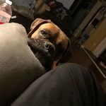 Kameron Coleman - @_b1g.country_ - Instagram