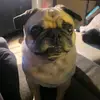Kameron Conner625 - @kameronconner625 - TikTok