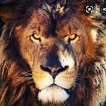 Kameron Conner - @kam_was_here - Instagram