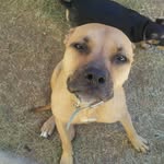 Kameron - @kameron_dalton_ - Instagram