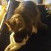 Kameron Dean - Facebook