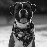 Duke Kameron - @dukekameron - Instagram