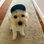 Kameron Duke - @kameronduke - Instagram