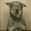 Kameron Echols - @kameron.echols - TikTok
