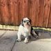 Cameron Farrell - Facebook