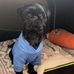 Cameron Farrell - Facebook