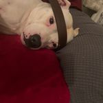 Cameron Farrell - @cameron.farrell.56 - Instagram