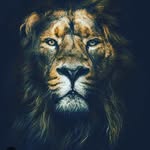 cameron hale - @cameronmighylion17 - Instagram