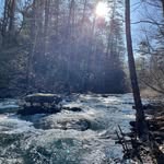 cameron hensley - @trout.fisher.08 - Instagram
