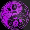 kameronhernandez51 - @kameronhernandez51 - TikTok