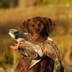 Kameron Hicks - Facebook