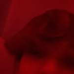 Kameron holder - @holder_kameron - Instagram