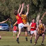 Cameron Hood - @cam_hoody20 - Instagram
