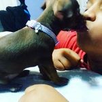 Kameron Mason - @gorillamaster14 - Instagram