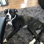 Cameron Mclean - @cameron.mclean.7545 - Instagram