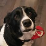 Cameron Meadows - @cameron_meadows_ - Instagram
