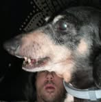 Kameron Nelson Drennan - Facebook