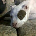 Kameron Owens - @kameron.owens - Instagram
