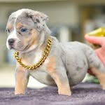 Kameron Prince Lowry - @kameronprincelowry - Instagram