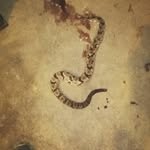 kameron Rice - @ricekameron592 - Instagram