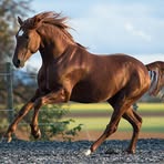 Cameron Ritchie - Facebook