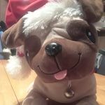 Kameron Lane Simpson - @pugz._.poser - Instagram
