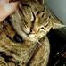 Cameron Webb - Facebook