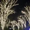 Kam - @kameronwoods1212 - TikTok