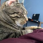 Kameron Yeager - @kameron.yeager1208 - Instagram