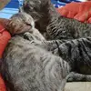Kami Campos - @kami.campos5 - TikTok