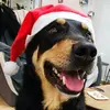 kami-case - @kami.case - TikTok