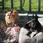 Kami Cass - @kami.cass - Instagram