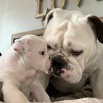 Kami And Cooper - @kami_n_cooper - Instagram