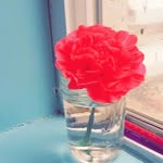 Kami Dahl - @kdahl04 - Instagram