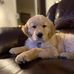 Kami Fleming - Facebook