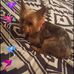 Kami Grant - Facebook
