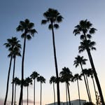 K. Michael Van Guilder - @k.michaelvan - Instagram