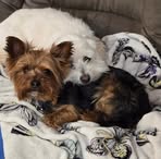 Kami Harper - Facebook
