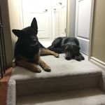 Kami & Harvey - @kami_n_harvey - Instagram