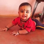 Kami arun bull  Hunter - @kami_arun_bull - Instagram