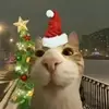 Kkami - @kkamihunter - TikTok