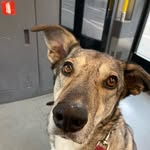@kami.katze42 - Instagram