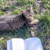 kamikatze_2.0. - @kamiikatze_2.0._ - TikTok