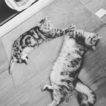 kamiKATZEn - @kami.katze.n - Instagram