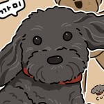 Kami Kim - @kami_cockapoo - Instagram
