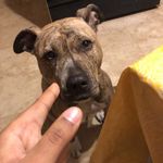 Hazel Magic Kami Lulu Lawrence - @bigheadhazel1 - Instagram