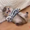 kamal - @mannkami - TikTok