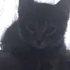 kami:)) - @kami._mann - TikTok